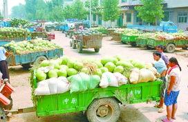 吃瓜网渠道,娱乐圈最新热点事件大汇总